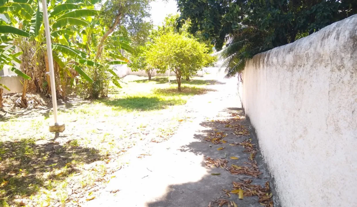 1tsApp-Image-2021-02-24-at-12.15.52-PM