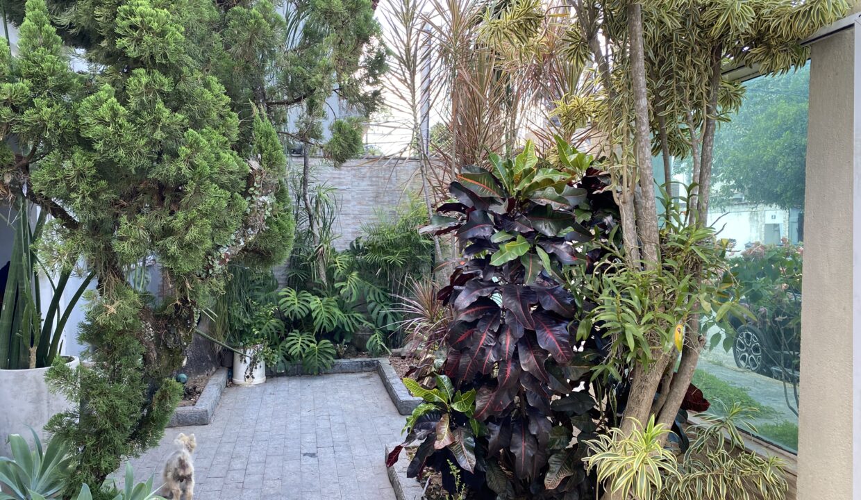 20250228_165425519_iOS