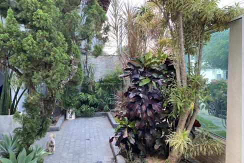 20250228_165425519_iOS