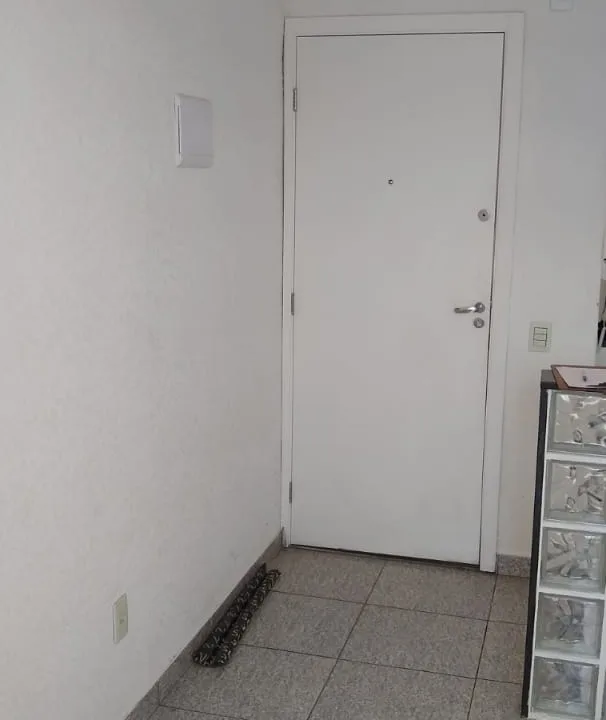 2589a94b-dfde-4c85-bbec-72c6f80c8155