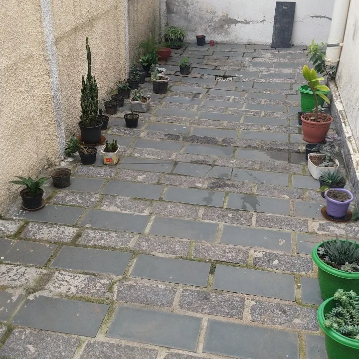 795b4405-bfdf-4d09-8c34-f3a97d74ffb7