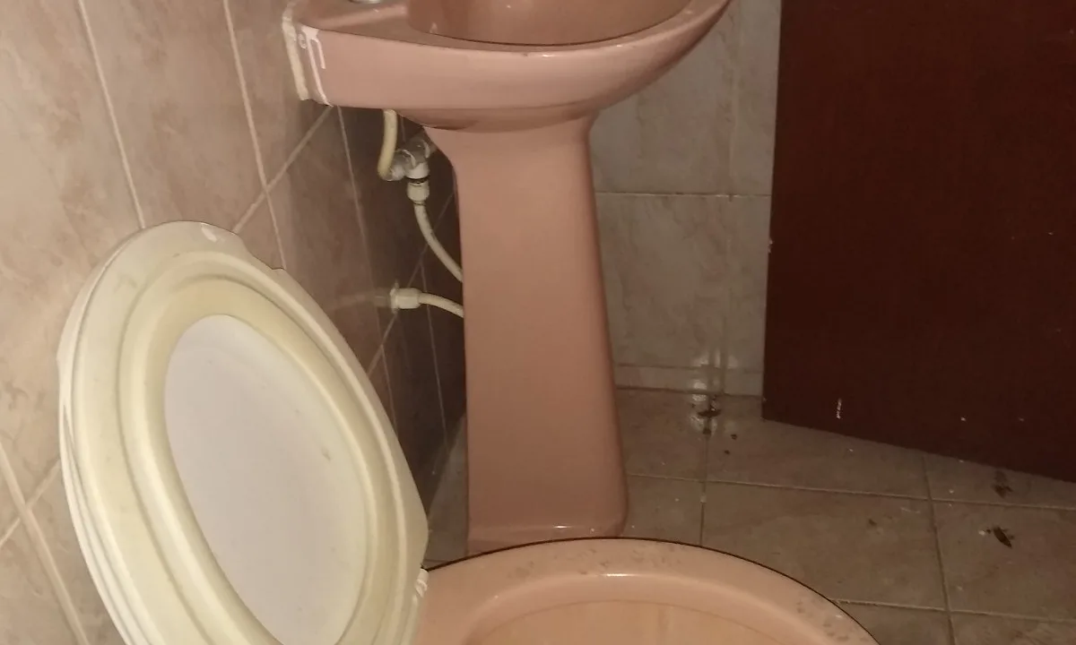 IMG_20220705_151229598