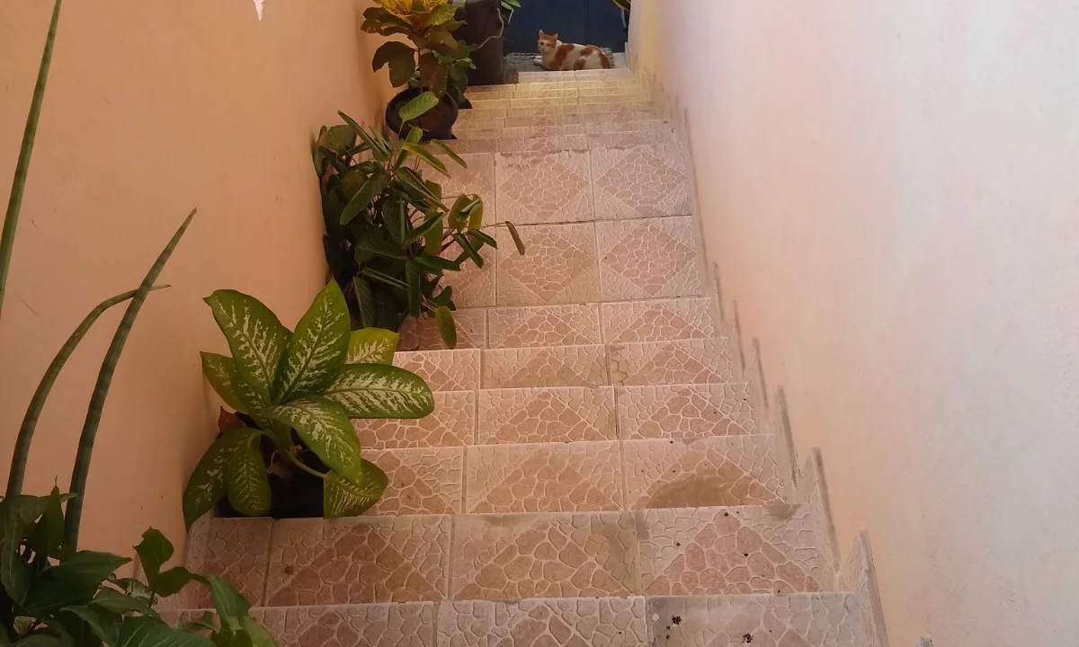 IMG_20220705_153805601