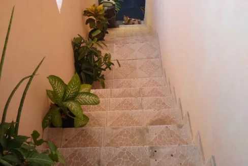 IMG_20220705_153805601