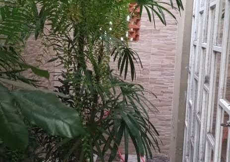 IMG_20240920_111825_758