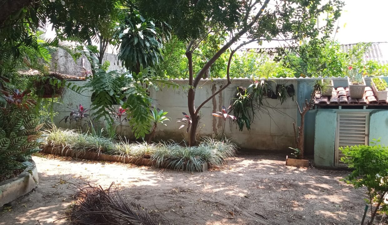 IMG_20240920_114330_533