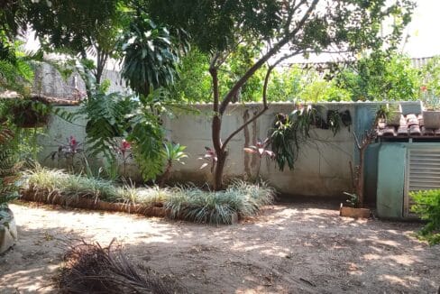 IMG_20240920_114330_533