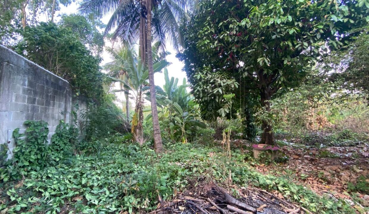 Imagem do WhatsApp de 2024-05-20 à(s) 17.11.32_3797bbd1