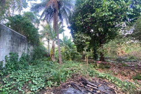 Imagem do WhatsApp de 2024-05-20 à(s) 17.11.32_3797bbd1