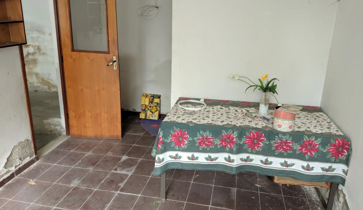 MVIMG_20200124_101746