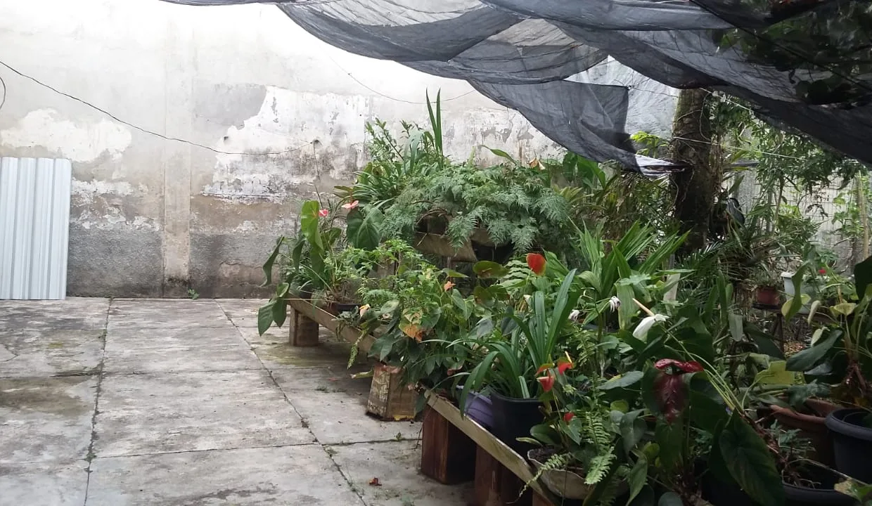 WhatsApp-Image-2019-02-06-at-11.28.53-2