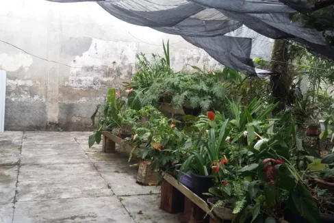 WhatsApp-Image-2019-02-06-at-11.28.53-2