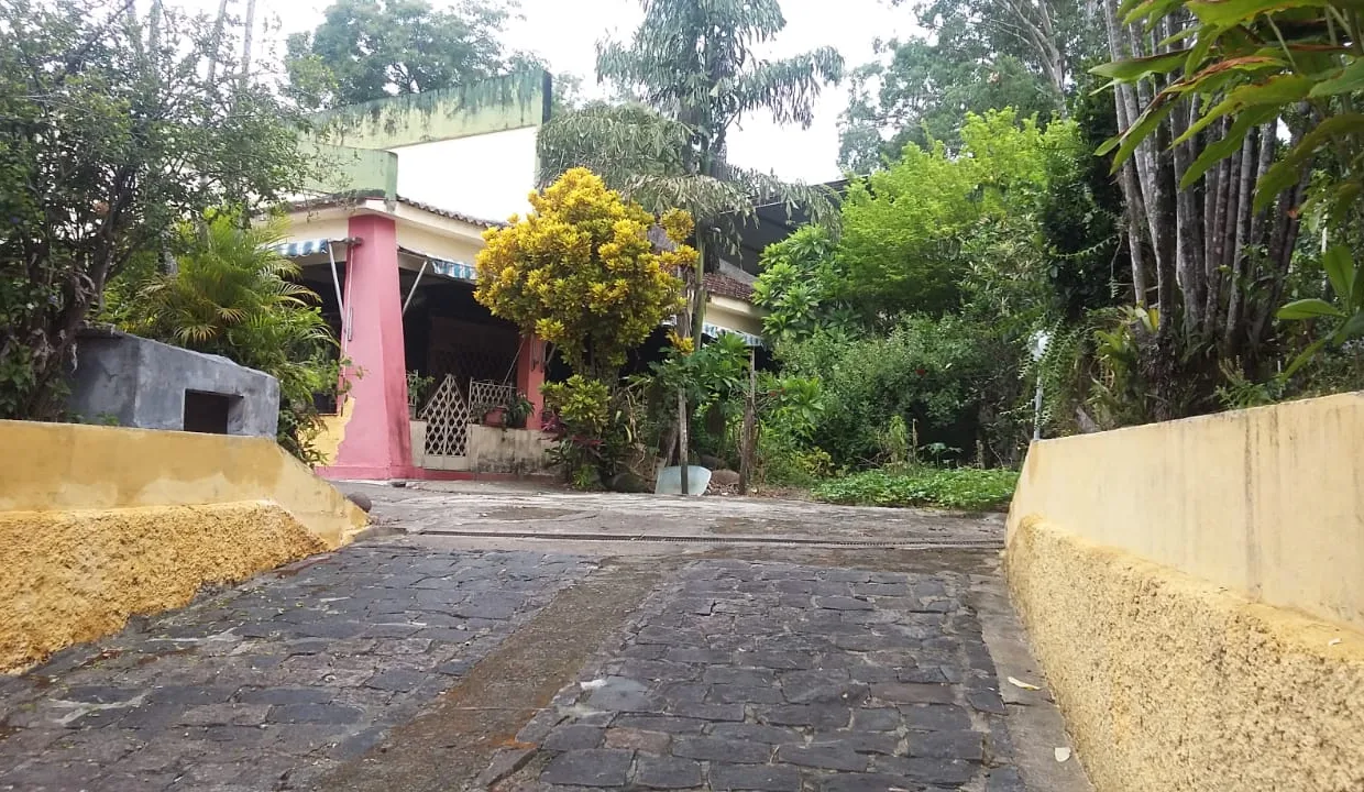 WhatsApp-Image-2019-02-06-at-11.28.55-1