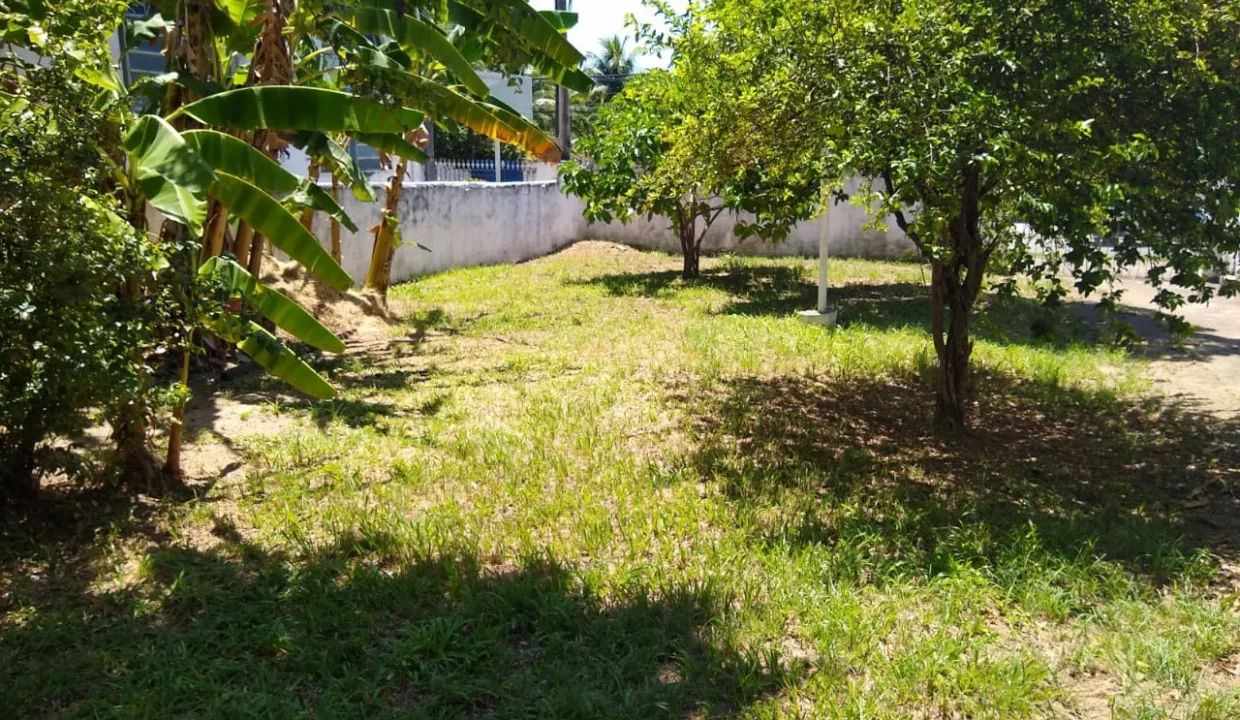 WhatsApp-Image-2021-02-24-at-12.15.51-PM1