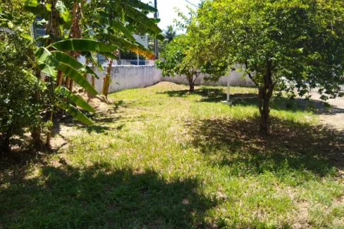 WhatsApp-Image-2021-02-24-at-12.15.51-PM1