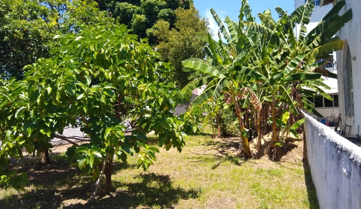 WhatsApp-Image-2021-02-24-at-12.15.52-PM3