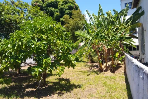 WhatsApp-Image-2021-02-24-at-12.15.52-PM3