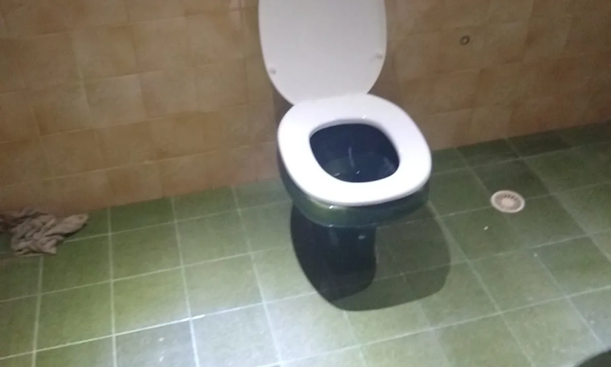 WhatsApp Image 2021-09-13 at 10.51.32 PM