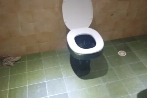 WhatsApp Image 2021-09-13 at 10.51.32 PM