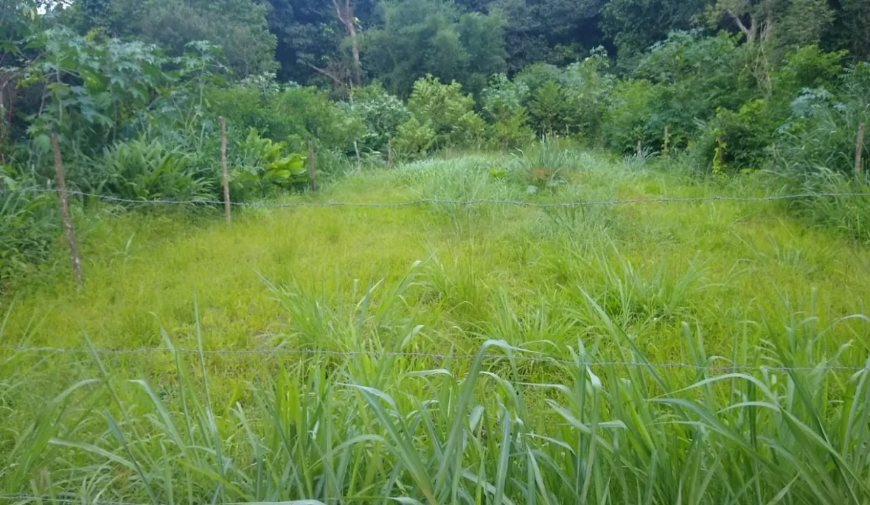 WhatsApp-Image-2021-12-02-at-17.33.18-2