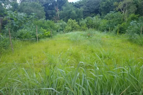 WhatsApp-Image-2021-12-02-at-17.33.18-2