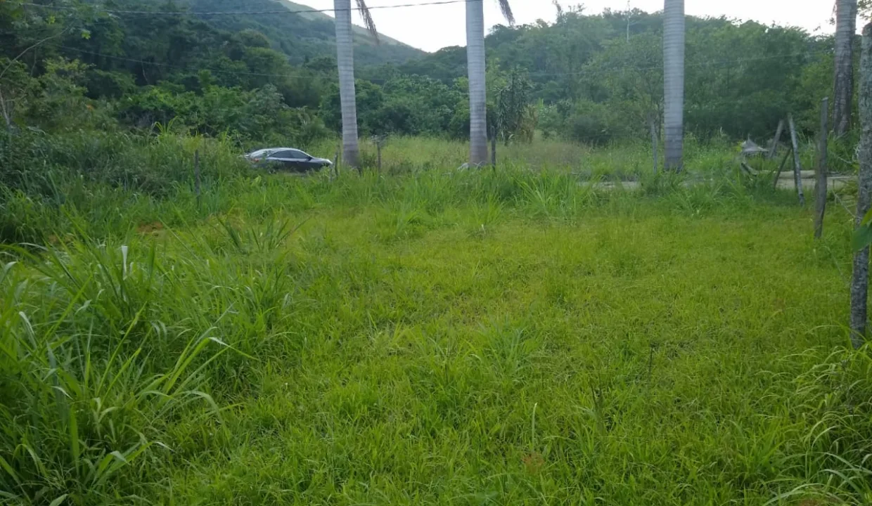 WhatsApp-Image-2021-12-02-at-17.33.20-2