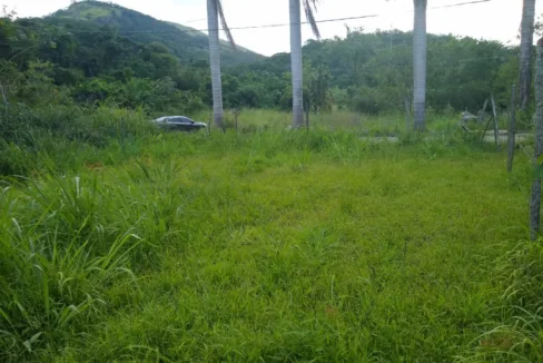 WhatsApp-Image-2021-12-02-at-17.33.20-2