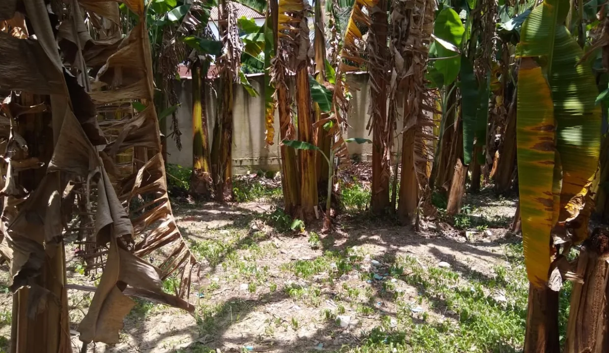 WhatsApp Image 2022-01-24 at 15.01.56