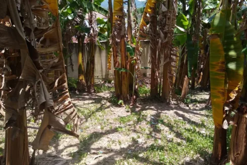 WhatsApp Image 2022-01-24 at 15.01.56