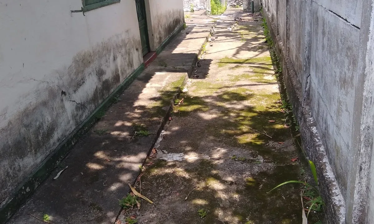 WhatsApp Image 2022-01-24 at 15.06.54