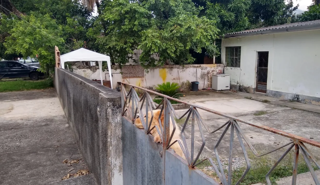 WhatsApp Image 2022-05-13 at 15.35.39 (1)