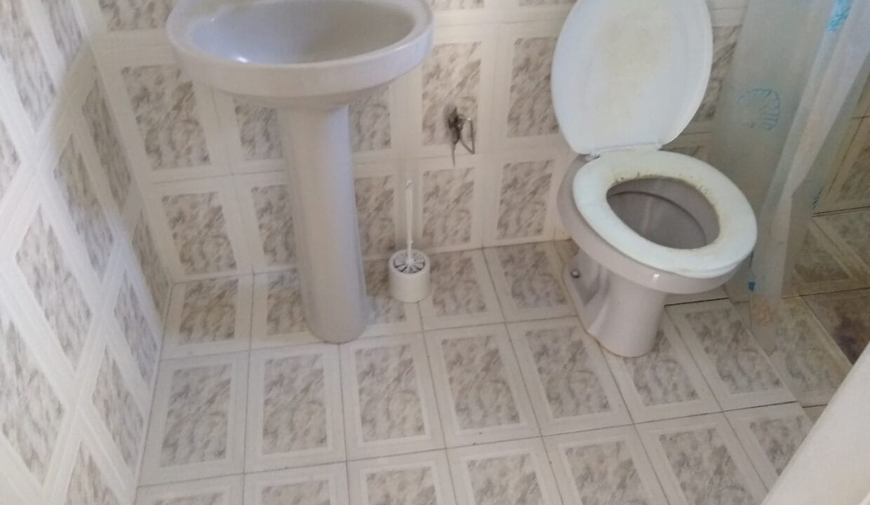 WhatsApp Image 2022-05-27 at 15.40.36 (3)