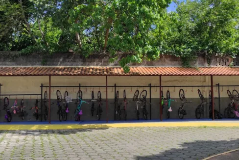 WhatsApp-Image-2022-12-09-at-8.42.57-AM-2