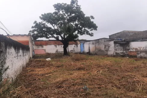 WhatsApp-Image-2023-04-19-at-3.46.12-PM