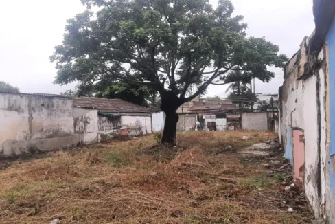 WhatsApp-Image-2023-04-19-at-3.46.17-PM-1