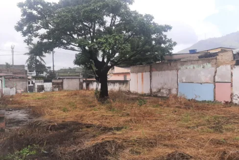 WhatsApp-Image-2023-04-19-at-3.46.21-PM