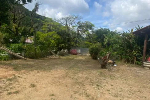 WhatsApp Image 2023-08-08 at 1.52.30 PM (1)