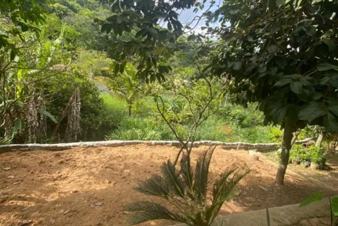 WhatsApp Image 2023-08-08 at 1.52.30 PM (3)