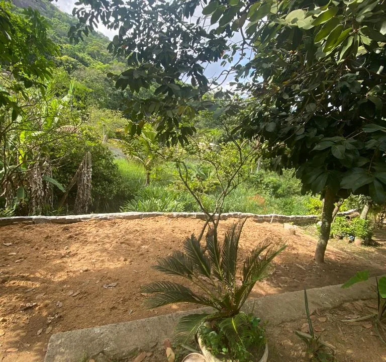 WhatsApp Image 2023-08-08 at 1.52.30 PM (3)