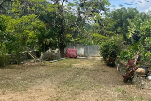 WhatsApp Image 2023-08-08 at 1.52.30 PM