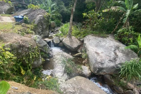 WhatsApp Image 2023-08-08 at 1.52.30 PM (6)