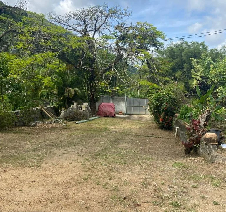 WhatsApp Image 2023-08-08 at 1.52.30 PM