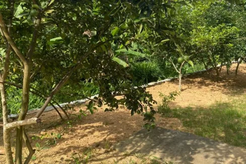 WhatsApp Image 2023-08-08 at 1.52.30 PM (8)