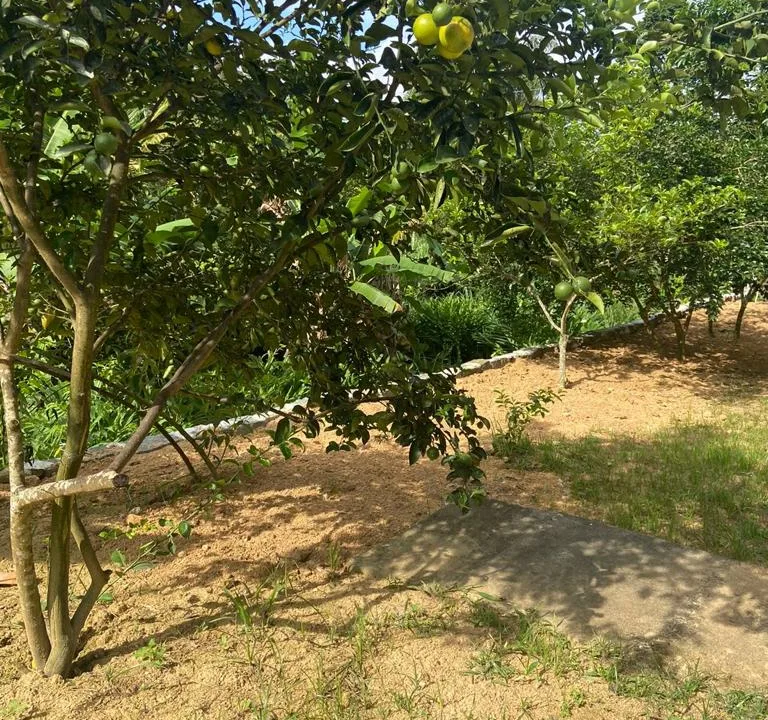 WhatsApp Image 2023-08-08 at 1.52.30 PM (8)