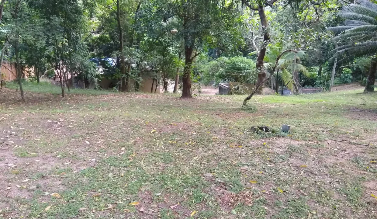 WhatsApp-Image-2023-08-18-at-10.59.20-AM-1-1