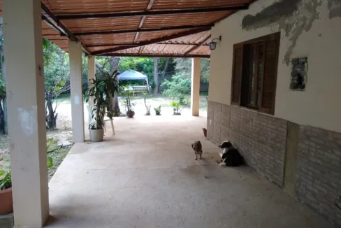 WhatsApp-Image-2023-08-18-at-10.59.22-AM-1