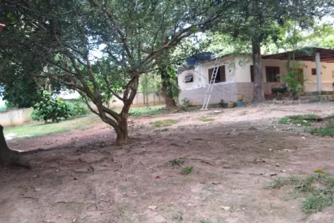 WhatsApp-Image-2023-08-18-at-10.59.24-AM-1-1