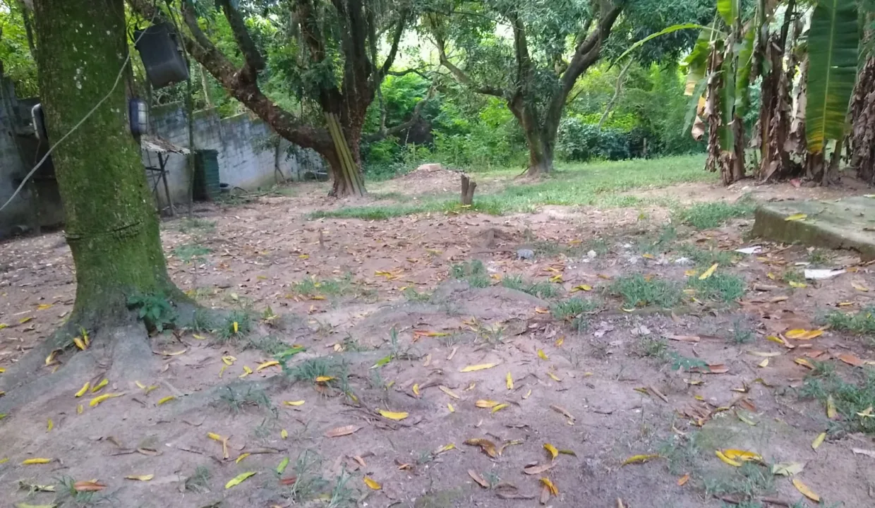 WhatsApp-Image-2023-08-18-at-10.59.24-AM-2