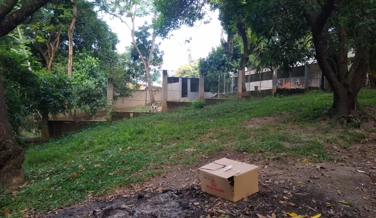 WhatsApp-Image-2023-08-18-at-10.59.26-AM-1