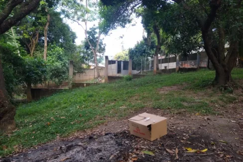 WhatsApp-Image-2023-08-18-at-10.59.26-AM-1